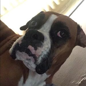 Meet your Posher, Caroline